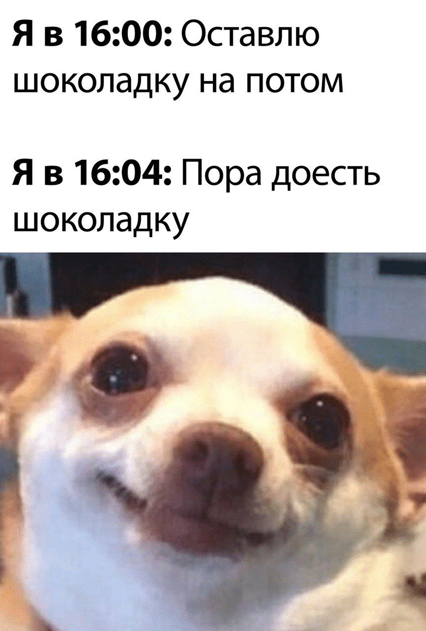 Я в 1600 Оставлю шоколадку на потом Я в 1604 Пора доесть шоколадку