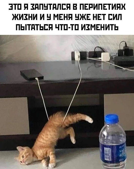 ЭТП Я дПНТдЛЕЯ В ПЕРИПЕТИЯХ ЖИЗНИ И МЕНЯ НЖЕ НЕТ СИП ПЫТдТЬЕЯ ТП Т ИЗМЕНИТЬ
