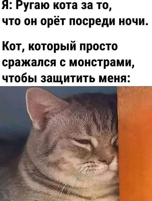 угаю кота за то что он орёт посреди ночи Кот который просто сражался с монстрами чтобы защитить меня