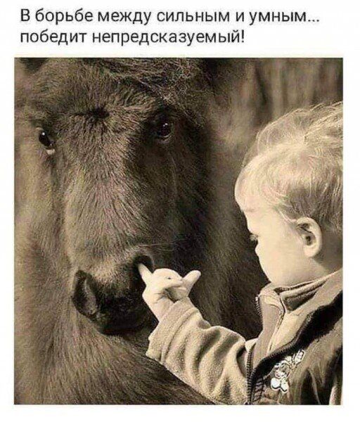 В борьбе между сильным и умным победит непредсказуемый
