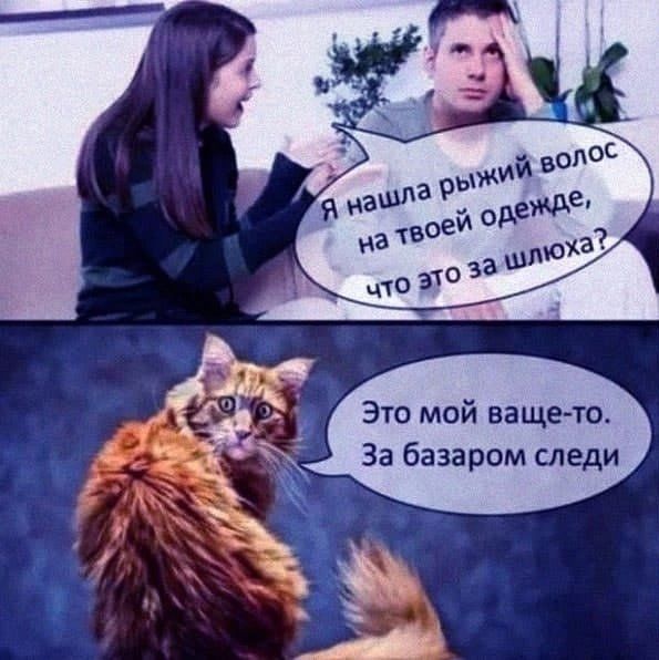 Это мой ващето За базаром следи