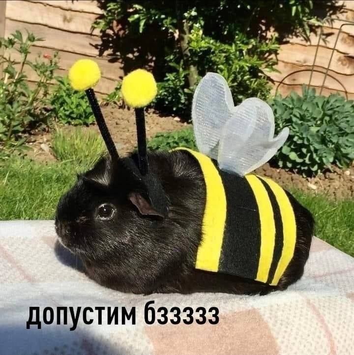 3 3 3 з 3 6 М И Т с У П 0 д