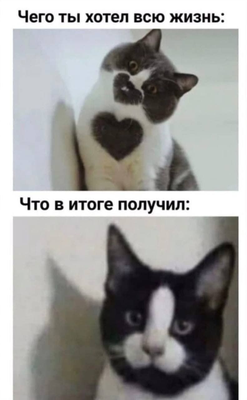 ЧЕГО ТЫ ХОТЕЛ ВСЮ ЖИЗНЬ Что в итоге получил
