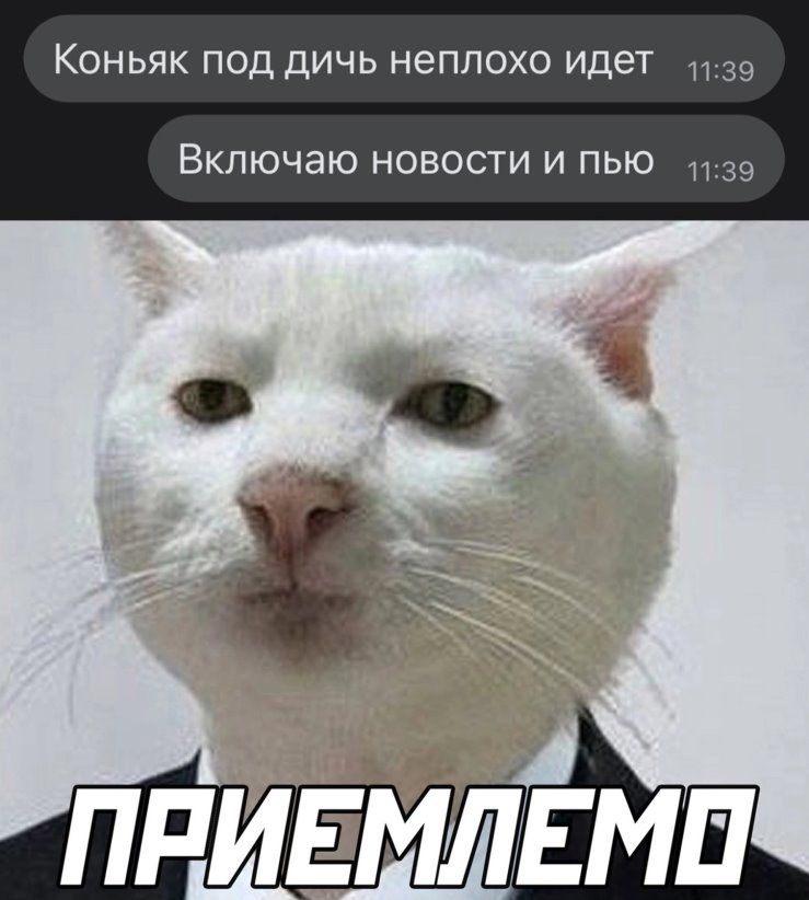 Коньяк под дичь неплохо идет 39 ВКПЮЧЭЮ НОВОСТИ И ПЬЮ 11 39