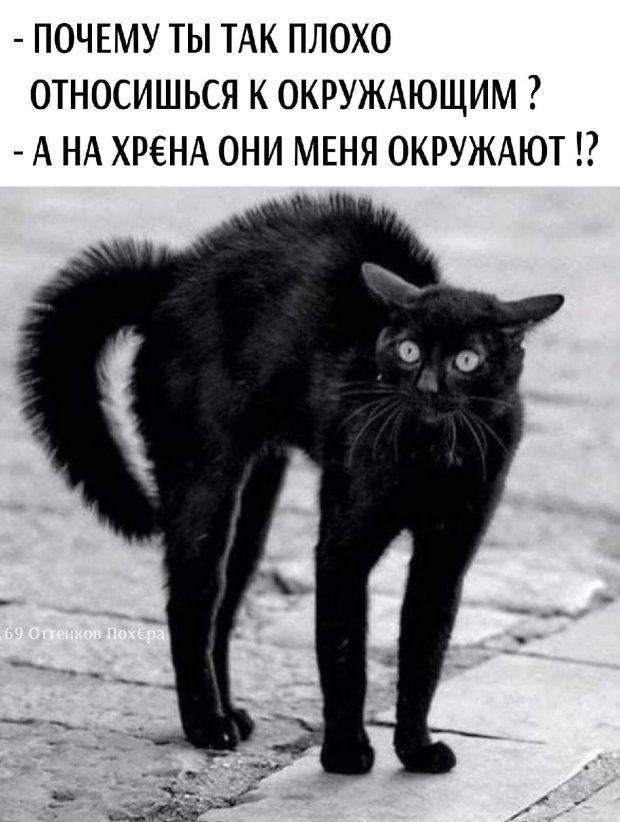 ПОЧЕМУ ТЫ ТАК ПЛОХО ОТНОСИШЬСЯ К ОКРУЖАЮЩИМ А НА ХРЕНА ОНИ МЕНЯ ОКРУЖАЮТ