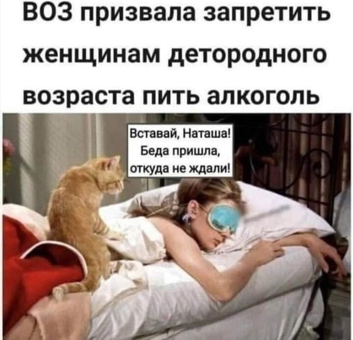 ВОЗ призвала запретить женщинам детородного ВОЗРЗСТЗ ПИТЬ ал КОГОЛЬ