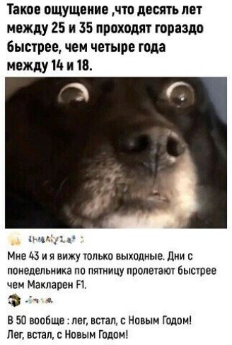 Такое ощущение что десять лет между 25 и 35 проходят гораздо Быстрее чем четыре года между 110 и 18 ми 1 Мне 43 и я вижу только выходные дни с понедельника по пятиицу пролеуаюч быстрее чем Макларен П о В 50 вообще лег встал с Новым Годом Лег встал с Новым Годом