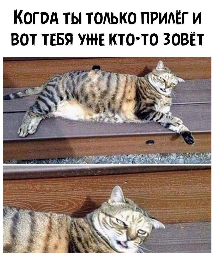 КОГ ОА ТЫ ТОАЬКО ПРИЁГ И ВОТ ТЕБЯ УЖЕ КТОТО ЗОВЁТ
