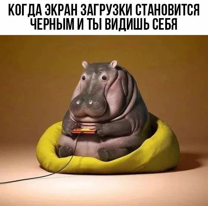 КОГДА ЗКРАН ЗАГРУЗКИ СТАНПВИТБН ЧЕРНЫМ И ТЫ ВИДИШЬ СЕБЯ