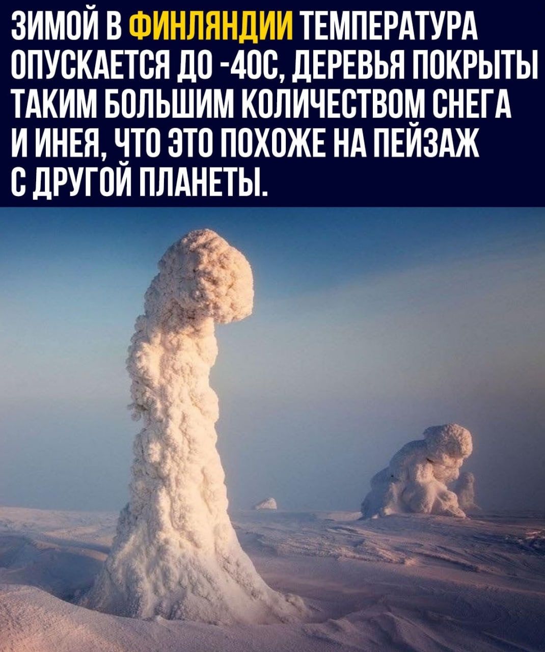 ЗИМОЙ В ТЕМПЕРАТУРА ЦПУВКАЕТСЯ до 400 ЦЕРЕВЬЯ ПОКРЫТЫ ТАКИМ БПЛЬШИМ КПЛИЧЕСТВПМ ПНЕГА И ИНЕН ПП ЭТО ППХПЖЕ НА ПЕИЗАЖ дРУГПИ ПЛАНЕТЫ