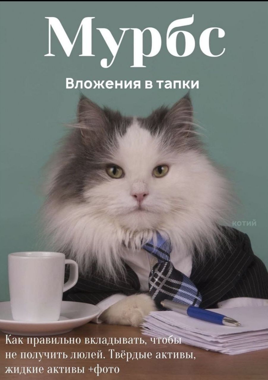 Как правильно вкладывать не получитьлюлей Твёрдые активы жидкие активы фото