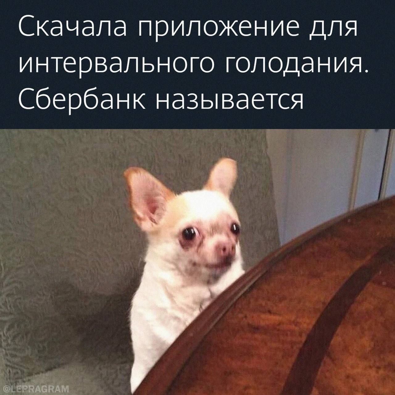 Скачала приложение для интервального голодания Сбербанк называется шв лёд