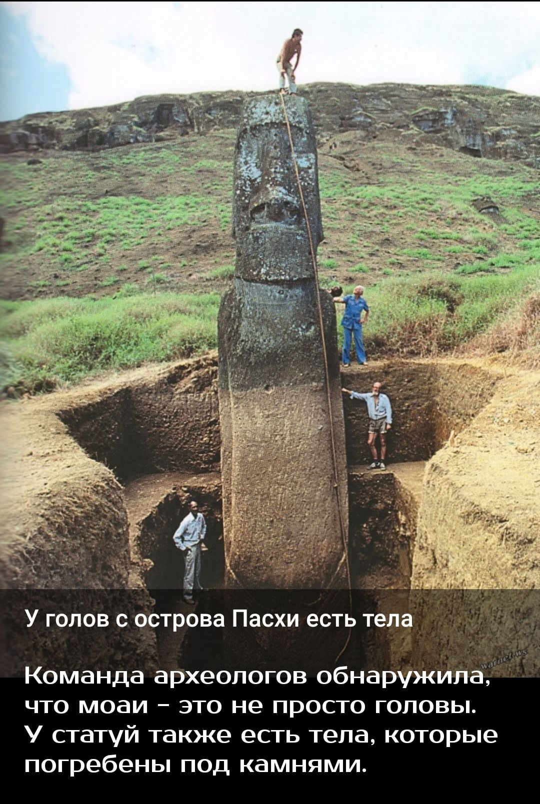 У голов с острова Пасхи есть тела Команда археологов обнаружила ЧТО МОЗИ ЭТФ не ПРОСТО ГОЛОВЫ У статуй также есть тела которые погребены под камнями