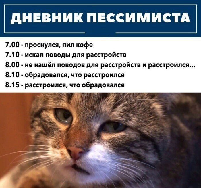дНЕВНИК ПЕССИМИСТА 700 прмиупкп пил кофе 710 искал попоны для распрвйпв аоо и иашіп по опо для рякпройт и ркнроипси вла обрадовали чт ращроими 315 распроипси чув обрело апп