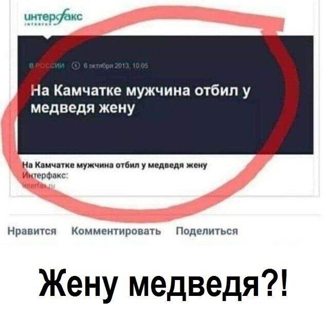 На Камчатке мужчина отбип у медведя жену Кимчи ву у ц тишина Нрапигсп коммщювш Поди Жену медведя