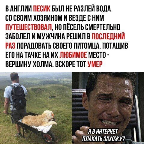 В АНГЛИИ ПЕЕИК БЫЛ НЕ РАЗЛЕИ БПЛА СП СВПИМ ХПЗПИНПМ И ВЕЗДЕ В НИМ ППЕШЕСТВПВАЛ НП ПЁВЕЛЬ ВМЕРТЕЛЬНП ЗАБПЛЕП И МУЖЧИНА РЕШИЛ В ПШПШНИИ РАЗ ППРАЦЦВАТЬ СВПЕГП ПИТОМНИ ПВТАЩИВ ЕГП ИА ТАЧКЕ НА ИХ ЛЮБИМОЕ МЕБТП ВЕРШИНУ ХОЛМА ВВКОРЕ ТОТ УИЕР ълвинтЕРнп ЛАКА ТЬ ЗАХПЖ У