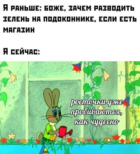 я РАНЬШЕ ЕПЖЕ ПЧЕМ РПЗЕПДИТЬ ЗЕЛЕНЬ Нд ППдПКПННИКЕ ЕСЛИ ЕСТЬ МПГПЗИН я йчпс