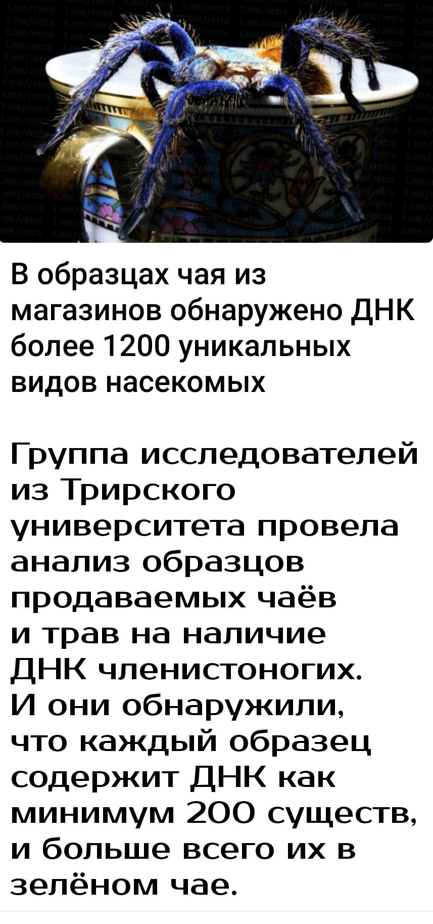 В образцах чая из магазинов обнаружено ДНК более 1200 уникальных видов насекомых Группа исследователей из Трирского университета провела анализ образцов продаваемых чаёв и трав на наличие ДНК членистоногих И они обнаружили что каждый образец содержит ДНК как минимум 200 существ и больше всего их в зелёном чае