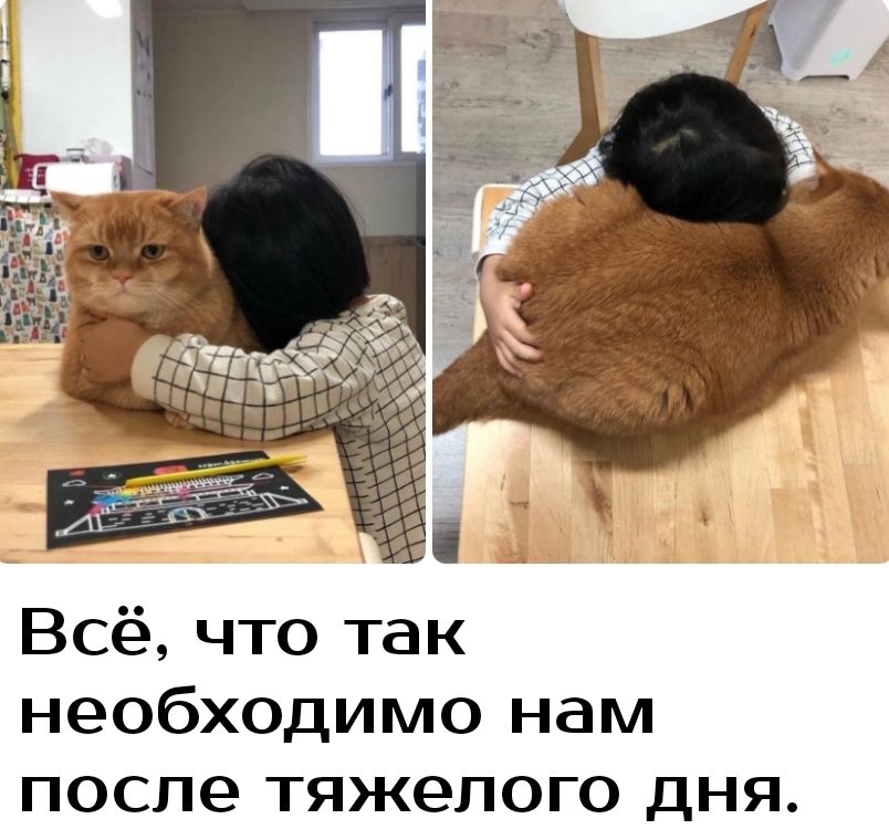 Всё что так необходимо нам после тяжелого дня