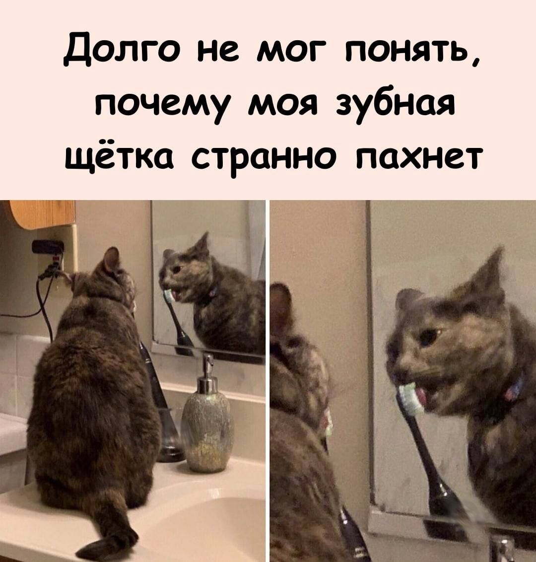 Долго не мог понять почему моя зубная щётка странно пахнет