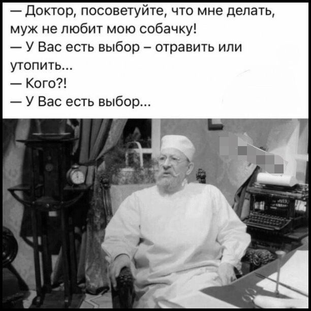 Доктор посоветуйте то мне делать муж не любит мою собачку У Вас есть выбор отравить или утопить А Кого У Вас есть выбор