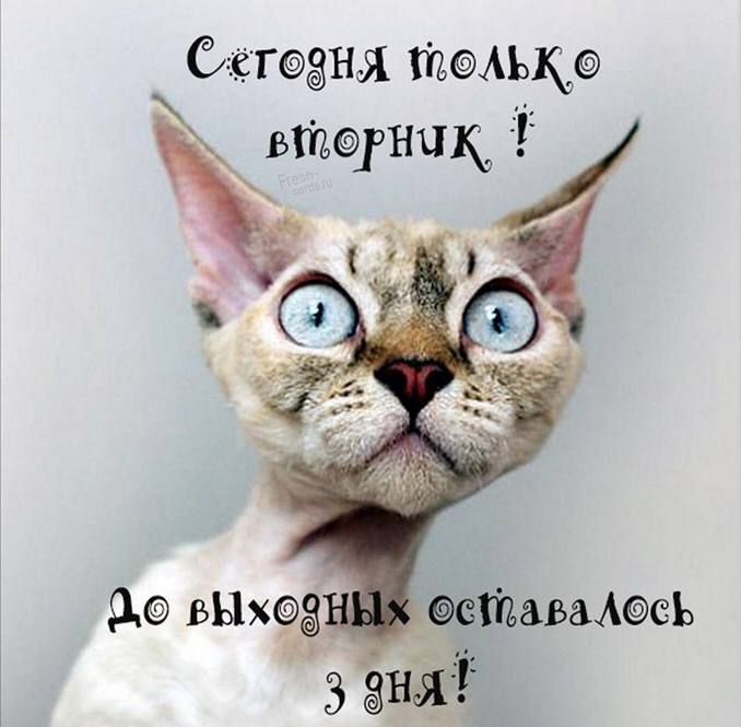 Сгщаня АЬ чтаниц