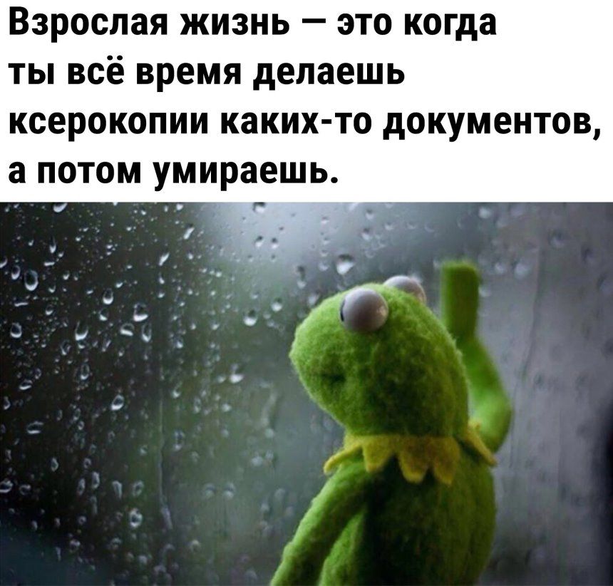 Взрослая ЖИЗНЬ _ ЭТО когда ТЫ ВСЁ время делаешь КСЕРОКОПИИ каких то дОКУМЕНТОВ а ПОТОМ умираешь