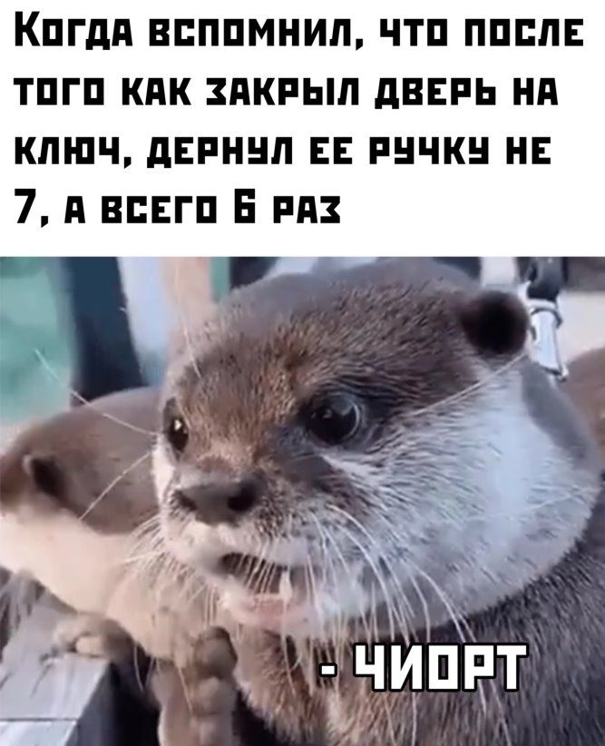 КПГдд ВПППМНИЛ ЧТП ПППЛЕ ТПГП КПК ЗПКРЬШ дЕЕРЬ НП КЛЮЧ дЕРННП ЕЕ РНЧК Е 7 д ВПЕГП Е РПЗ