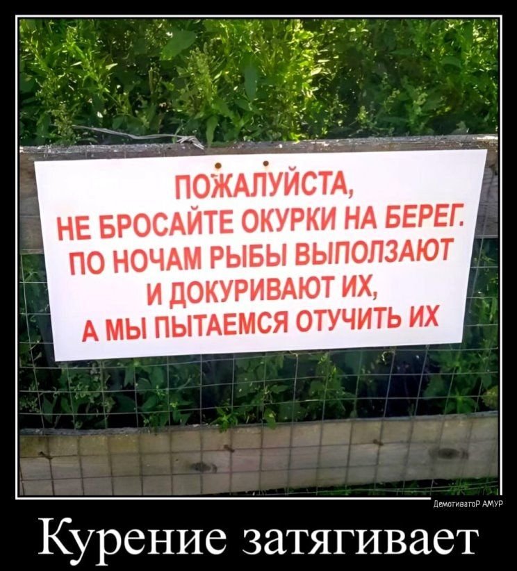 ПОЖАЛУЙСТА НЕ БРОСАИТЕ ОКУРКИ НА БЕРЕГ ПО НОЧАМ РЫБЫ ВЫПОПЗАЮТ И ЦОКУРИВАЮТ ИХ А МЫ ПЫТАЕМСЯ ОТУЧИТЬ ИХ Курение затягивает