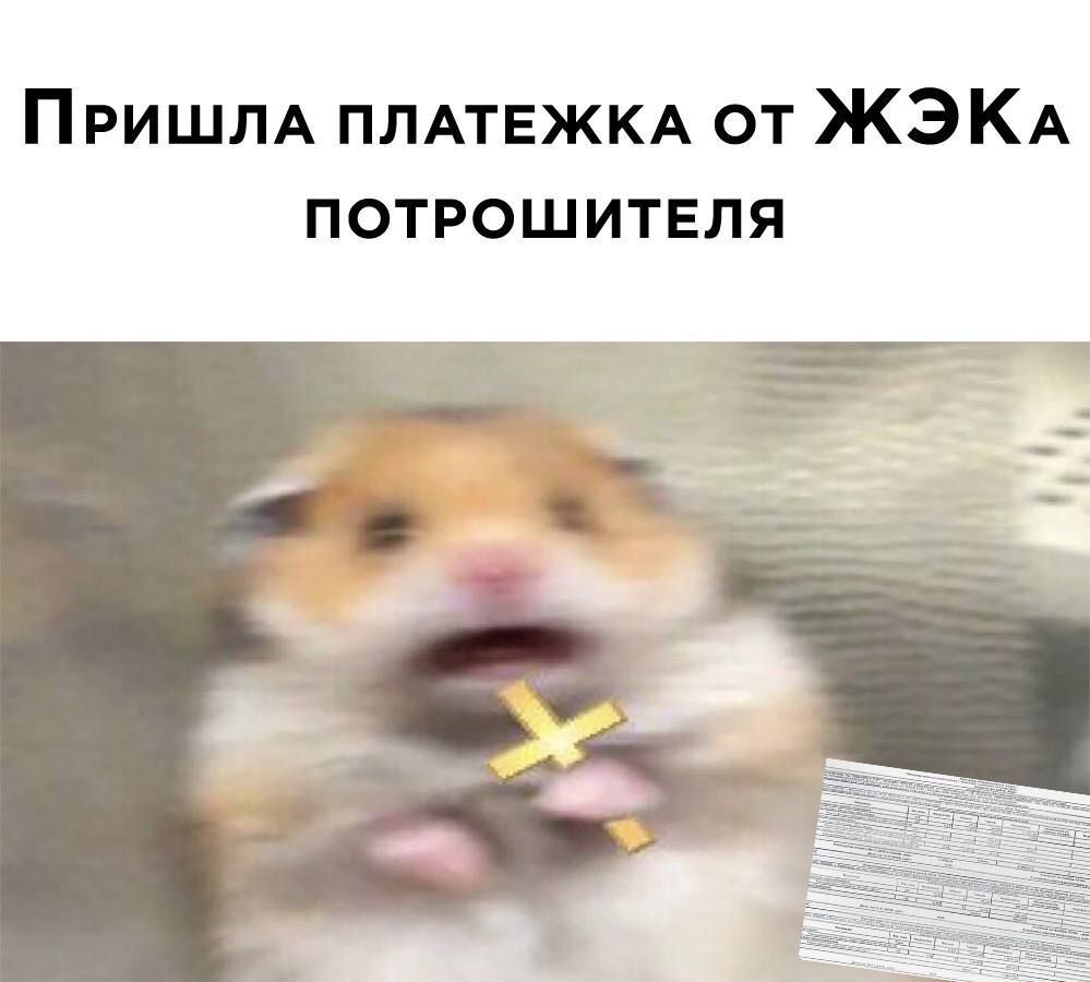 ПРИШЛА ПЛАТЕЖКА от ЖЭКА потрошителя