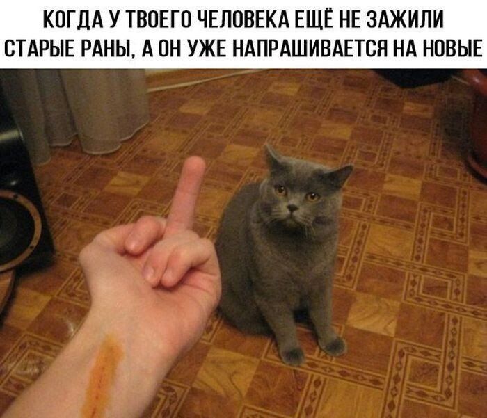 КПГЛА У ТВПЕГП ЧЕЛОВЕКА ЕЩЕ НЕ ЗАЖИПИ СТАРЫЕ РАНЫ А он УЖЕ НАПРАШИВАЕТСН НА НОВЫЕ