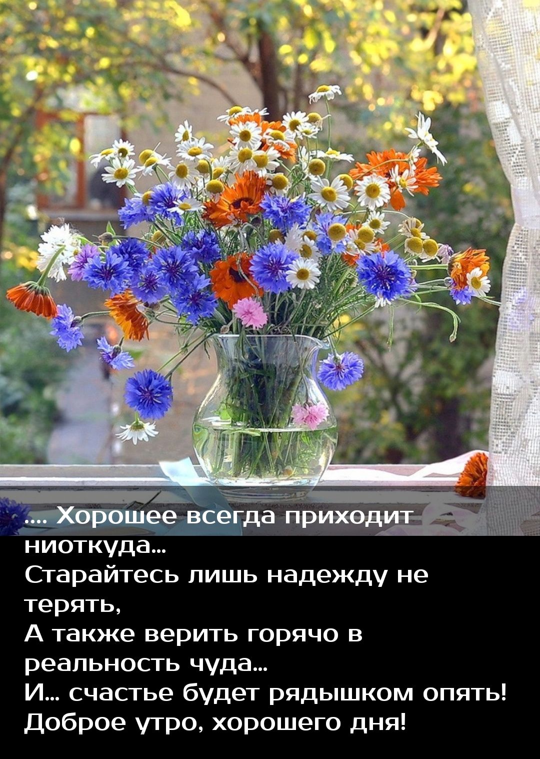 ниоткуда Старайтесь пишь надежду не терять А также верить горячо в реальность чуда И счастье будет рядышком опять доброе угро хорошего дня
