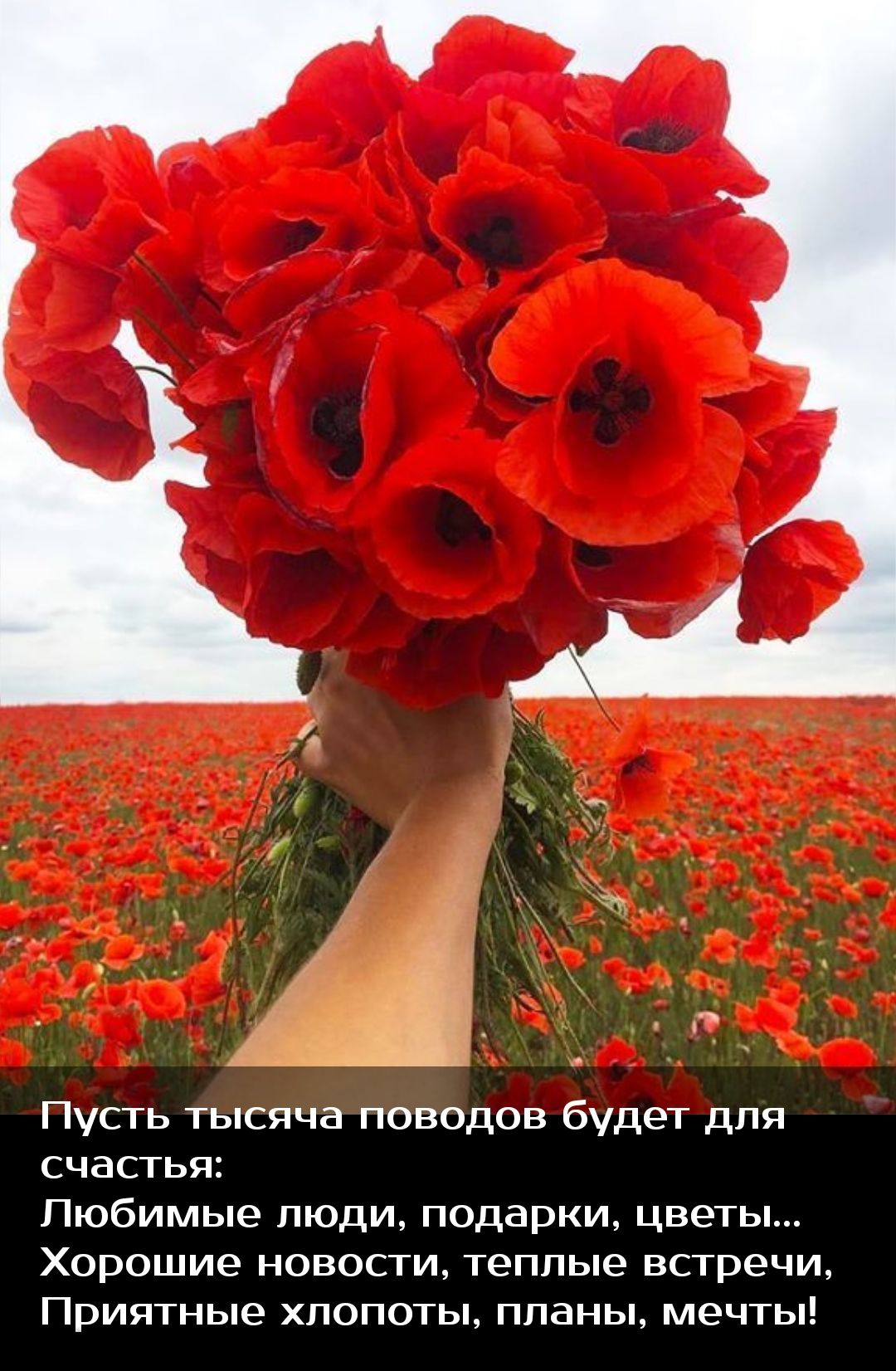 Пусть тысяча поводов будет для счастья Любимые люди подарки цветы Хорошие новости теппые встречи Приятные хлопоты планы мечты