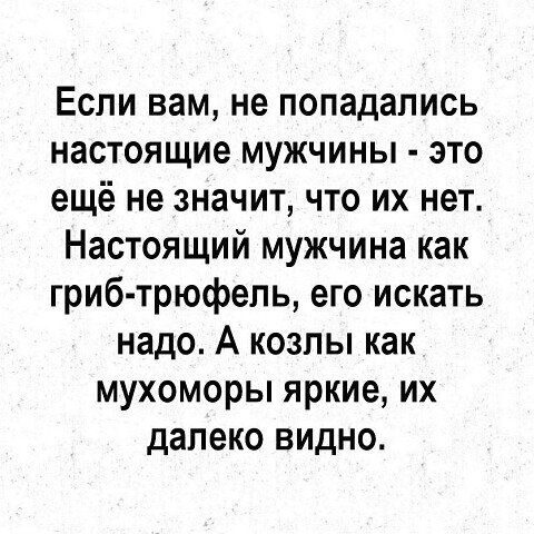 Если вам не попадались настоящие мужчины это ещё не значит что их нет Настоящий мужчина как гриб трюфель его искать надо А козлы как мухоморы яркие их далеко видно