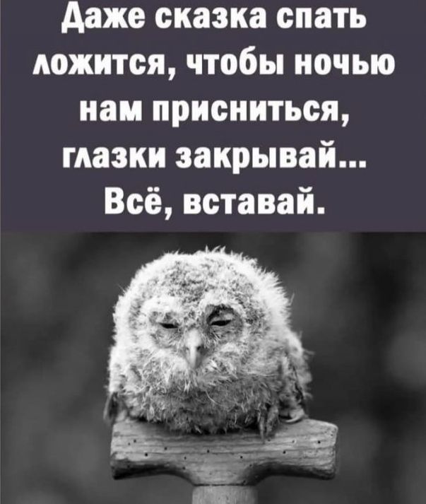 даже сказка спать ложится чтобы ночью наи присниться глазки эакрывай Всё вставай