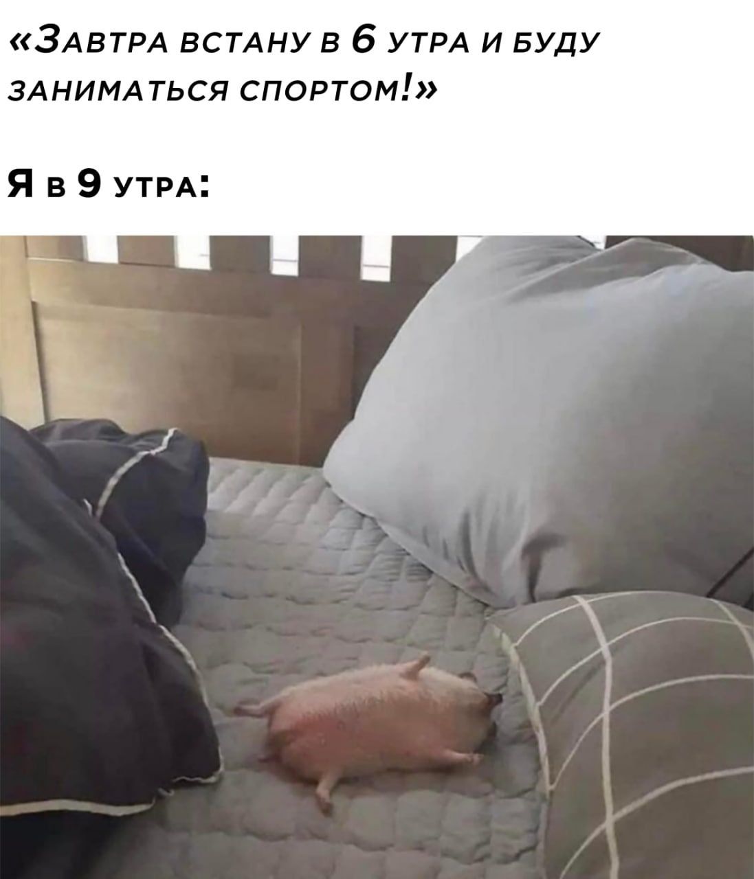 ЗАВТРА встдну в 6 УТРА и БУДУ ЗАНИМА ТЬСЯ СПОРТОМ Я в 9 УТРА