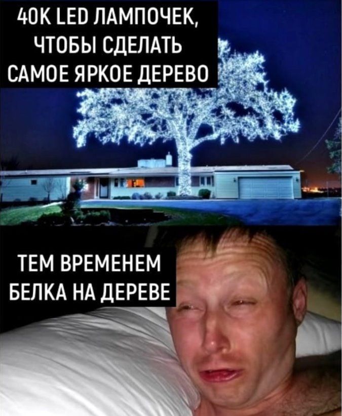 ЦВК _Е0 ПАМПОЧЕК ЧТОБЫ СДЕЛАТЬ ТЕМ ВРЕМЕНЕМ ввпкд НА ДЕРЕВЕ _ д_