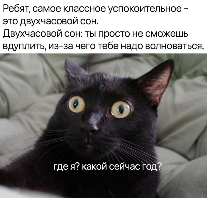 Ребят самое классное успокоительное это двухчасовой сон Двухчасовой сон ты просто не сможешь вдуппить изза чего тебе надо волноваться где я какой сейчас годы _