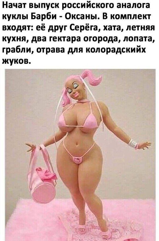 Начат выпуск российского аналога куклы Барби Оксаны В комплект входят её друг Серёга ката летняя кухня два гектара огорода лопата грабли отрава для колорадскийк жуков т
