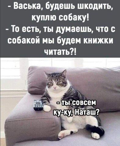 Васька будешь шкоднть куплю собаку То есть ты думаешь что с собакой мы будем книжки читать