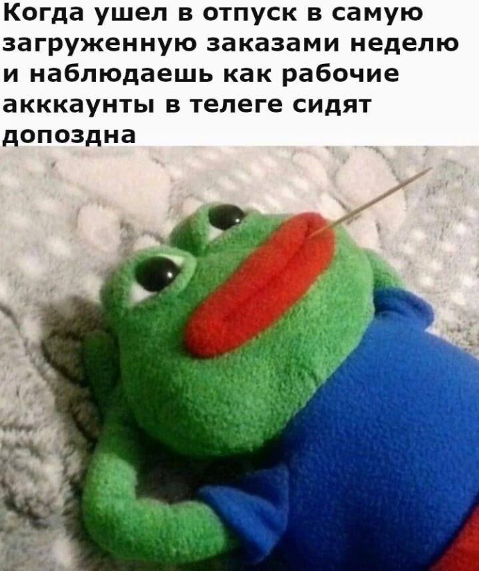 Когда ушел в отпуск в самую загруженную заказами неделю и наблюдаешь как рабочие акккаунты в телеге сидят допоздна