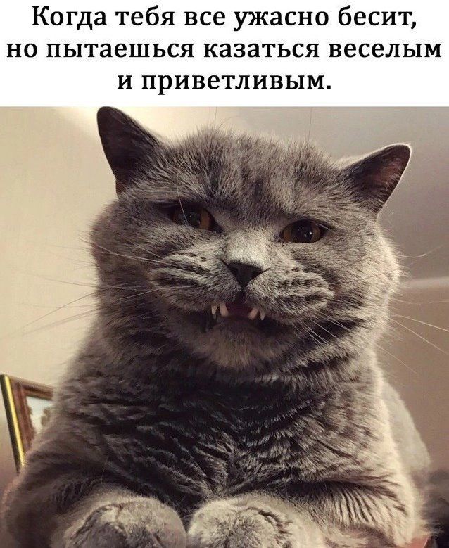 огда тебя все ужасно бесит н пытаешься казаться веселым и приветливым