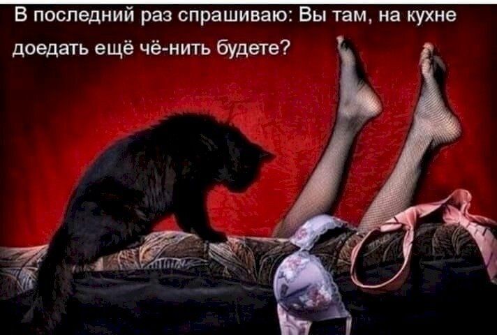 В последний раз спрашиваю Вы там на кухне доедать ещё чё нить будете