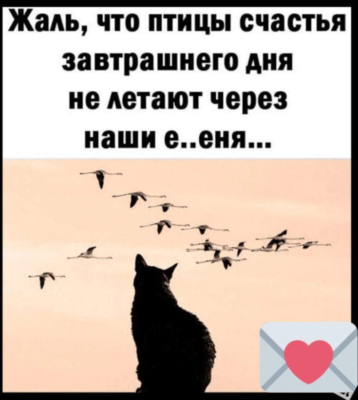 Жаль что птицы счастья завтрашнего дня не летают через наши ееня 23312
