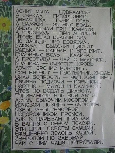 Аечит мам неврмгию А свекм гипертонию 6МАЦНИ1А гонит есмь ымчяеи зубные БОАЬ из кыьми гри нефрита врысникы при АРТРИТВ овы БЫАО БОАЬШе си не ЗАБЫДЬ про певцом КВА вькАечит цистит ЭДЬКА КАШЭАЬ и Бронхит ОАОВНЦЮ БОАЬ КААИНА простыды ЦАИ мминои АПИЕА очистит кровь Аечит зрение морковь Сон вернут пыстьпзник АЬ ОИАЦБОДРОСТЪ медженц энь Печень подечи рябины Сердце _ мятои и кгмно ЧТОБ не жить ИАБеТА пин