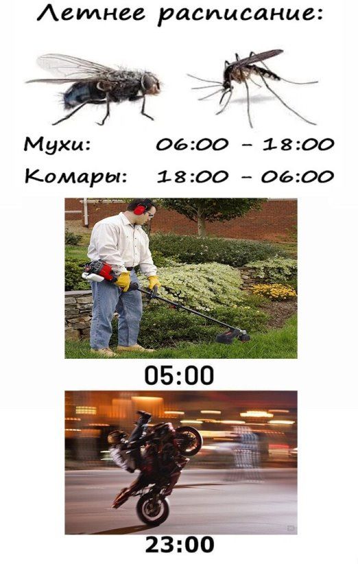 Аемнее расписание