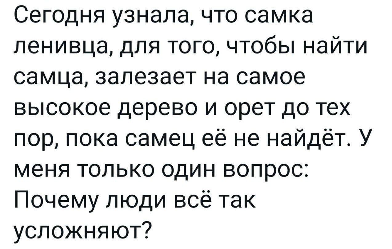 Сегодня узнала что самка ленивца для того чтобы найти самца залезает на самое высокое дерево и орет до тех пор пока самец её не найдёт У меня только один вопрос Почему люди всё так усложняют