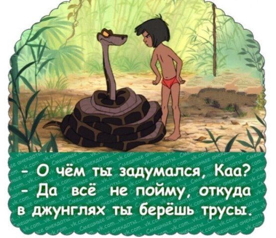 О чём ты задумался Кац Да всё не пойму откуда в джунглях ты берёшь трусы