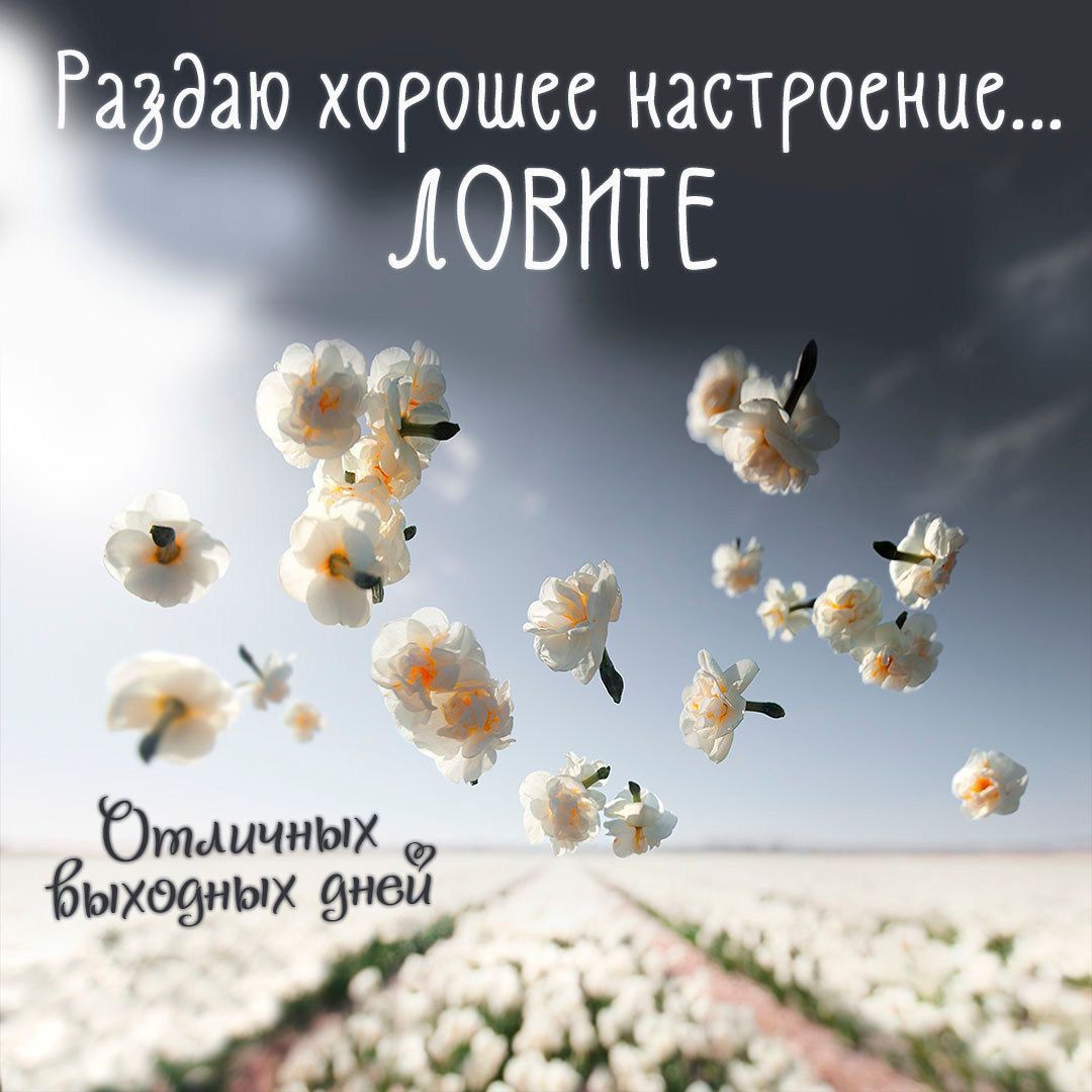 аздаю хогошсс настроение ЛОВПТЕ бтичиых ь