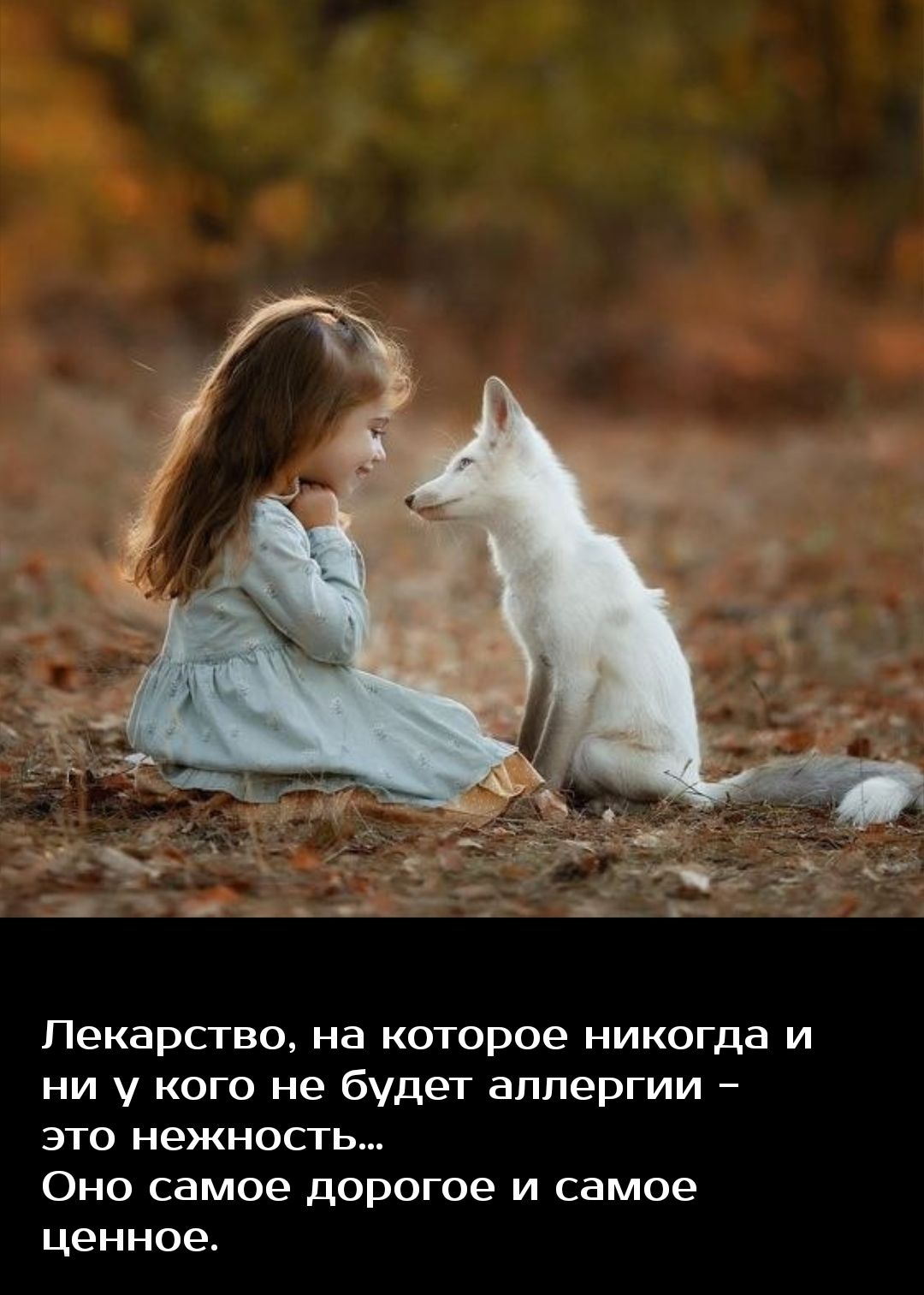Лекарство на которое никогда и ни у кого не будет аллергии это нежносгь Оно самое дорогое и самое ценное